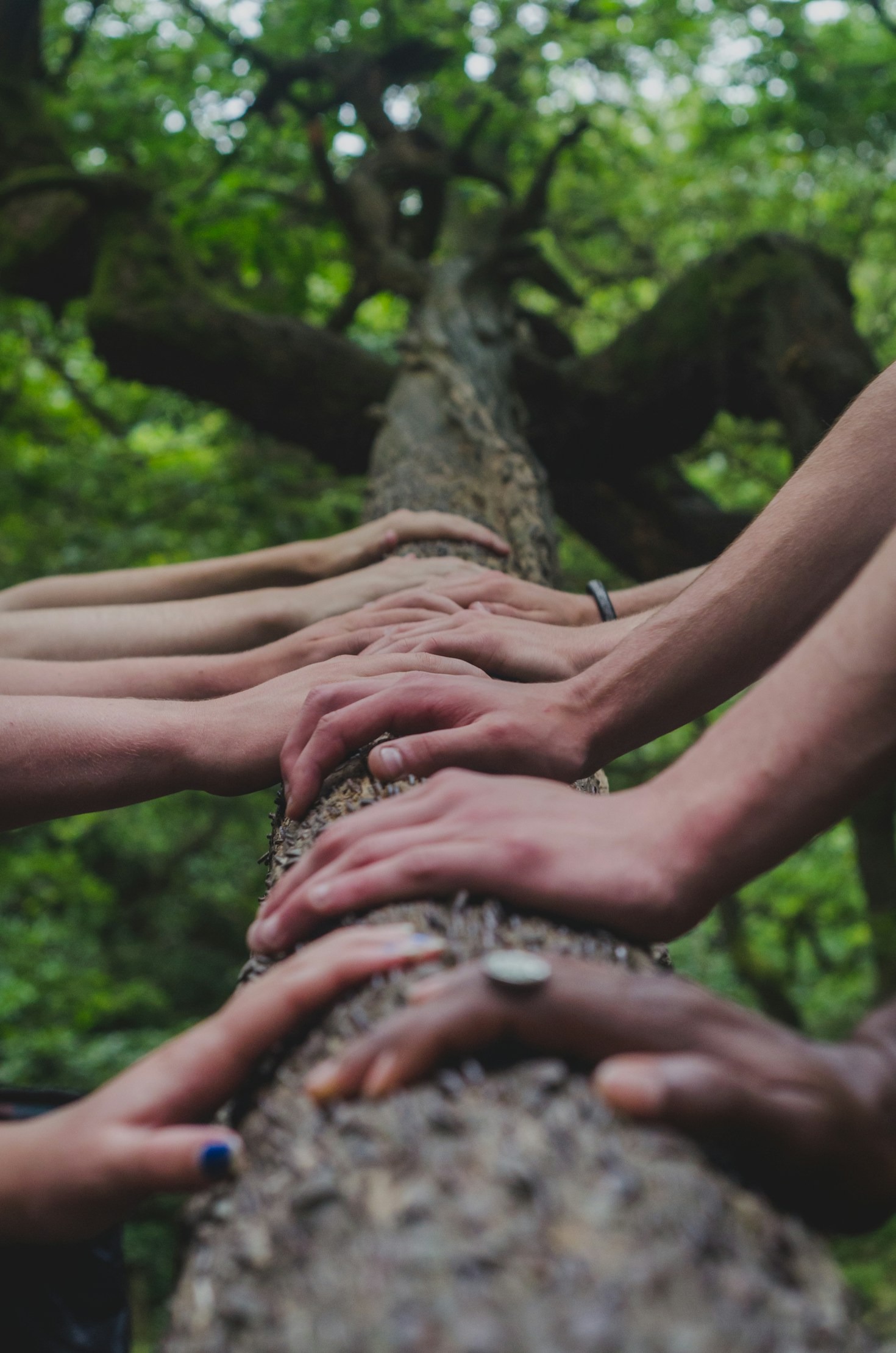 5 Ways to Get Involved in Local Initiatives
